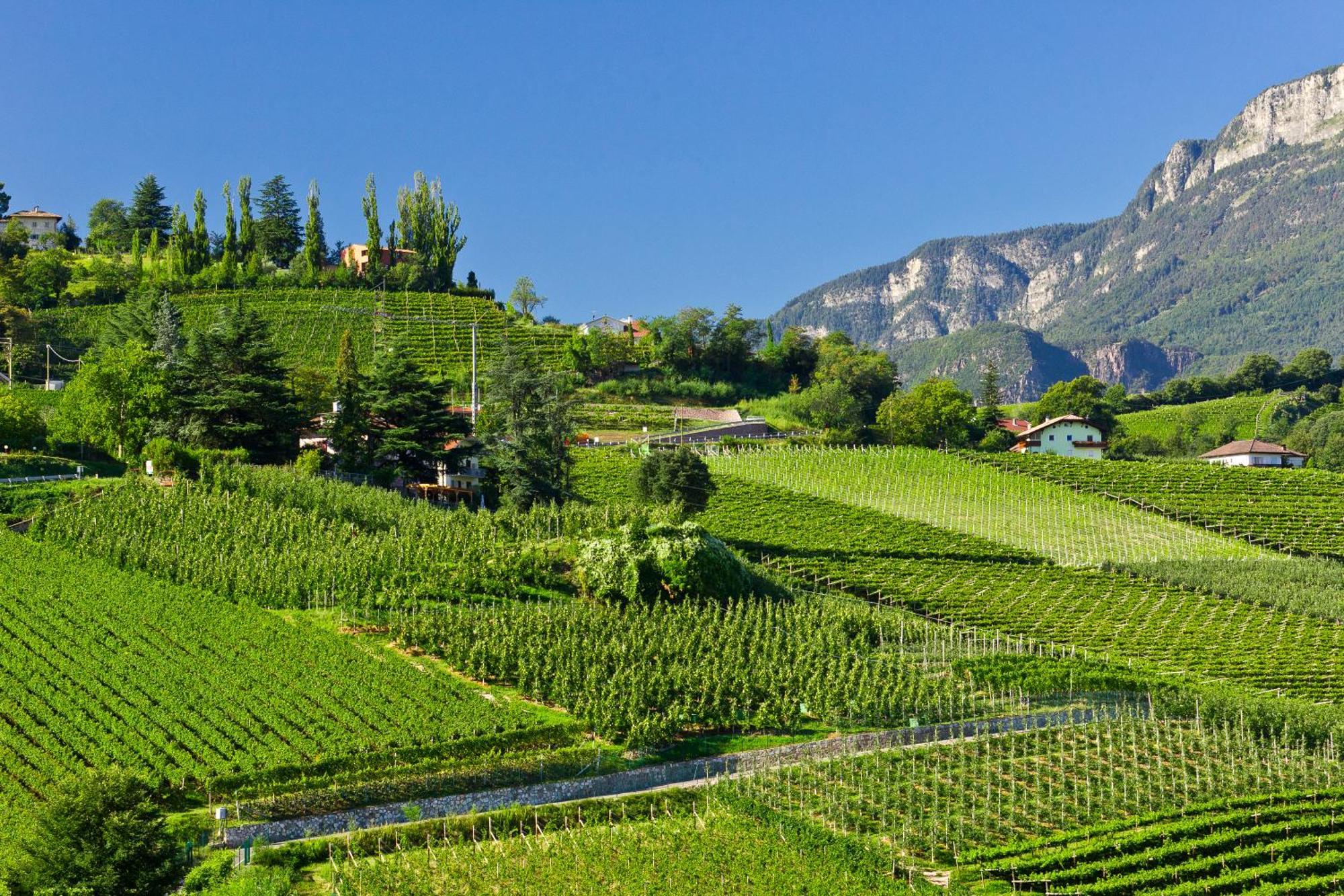 Belia Lofts - Adults Only - Apartments Appiano Sulla Strada Del Vino Exterior foto